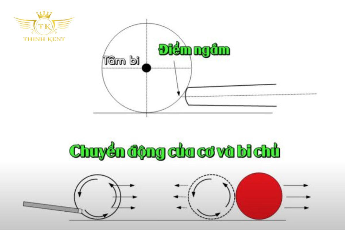 Bida Phăng (Bida Libre) là gì?